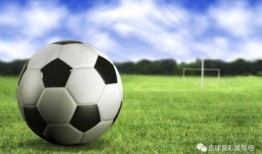 荷兰足球媒体爆料视频,揭秘足球巨星转会内幕